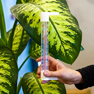 Āra termometrs ar caurspīdīgu skalu (-70 °C līdz +50 °C) 23 cm mix – photo 3
