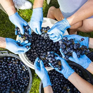 Fermentācijas trauks ar vāku 30 L – photo 17