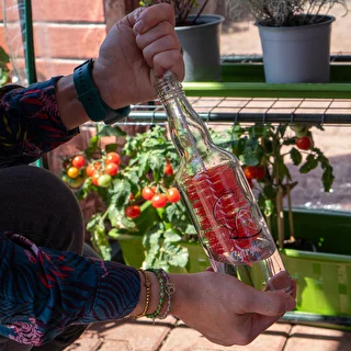 Pudeļu birste 0,5 L – photo 3