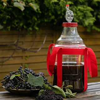 Vīna demižons, viegls, neplīstošs, ar siksnām, 15 L – photo 8