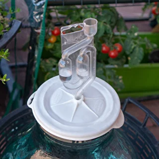 Pārsega korķis plata kakla demižonam – photo 5