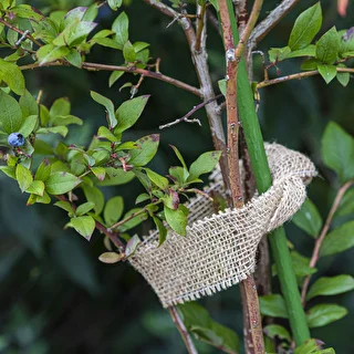 Jutas lente 5 cm /  8 m – photo 6