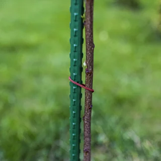 Bioogród dārza mietiņi – tērauda ar pārklājumu, 1,5 m, Ø 11 mm, 10 gab. – photo 5