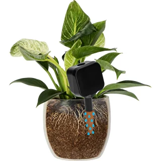 Augu laistītājs – melna tāfelīte ar keramisko spraudni, 200 ml – photo 6