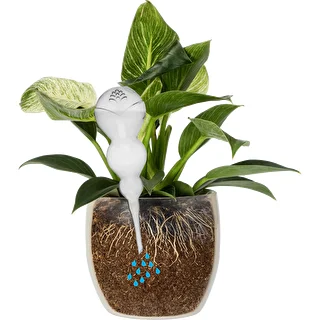 Trīskārša (trīskameru) laistīšanas bumba, caurspīdīga, bezkrāsaina, 600 ml – photo 3
