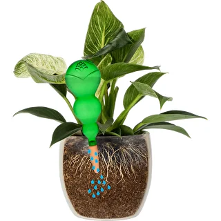 Trīskārša (trīskameru) laistīšanas bumba, caurspīdīgi zaļa, ar keramisku konusu, 600 ml – photo 3