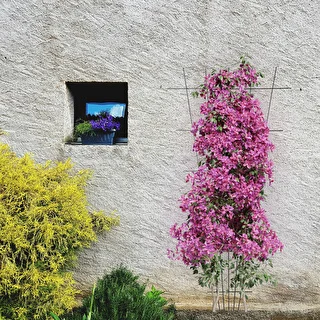 Augu balsts - režģis (150 cm x 75 cm) 2 gabali – photo 4