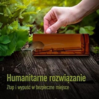 Peles slazds – dzīvs slazds, caurspīdīgs, 2 gab. – photo 7