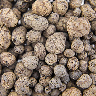 Keramzīts istabas augiem, dārzkopībai un mežiem stiklā, 4-10 mm, 1 L – photo 5