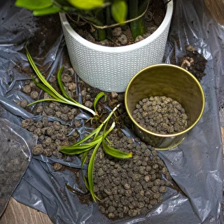 Keramzīts istabas augiem, dārzkopībai un mežiem stiklā, 4–10 mm, 2 l – photo 8