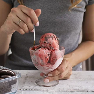 Saldējuma un sorbetu mašīna – photo 11