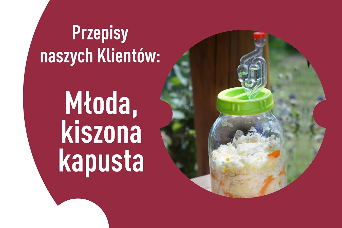 Mūsu klientu receptes: skābētie jaunie kāposti