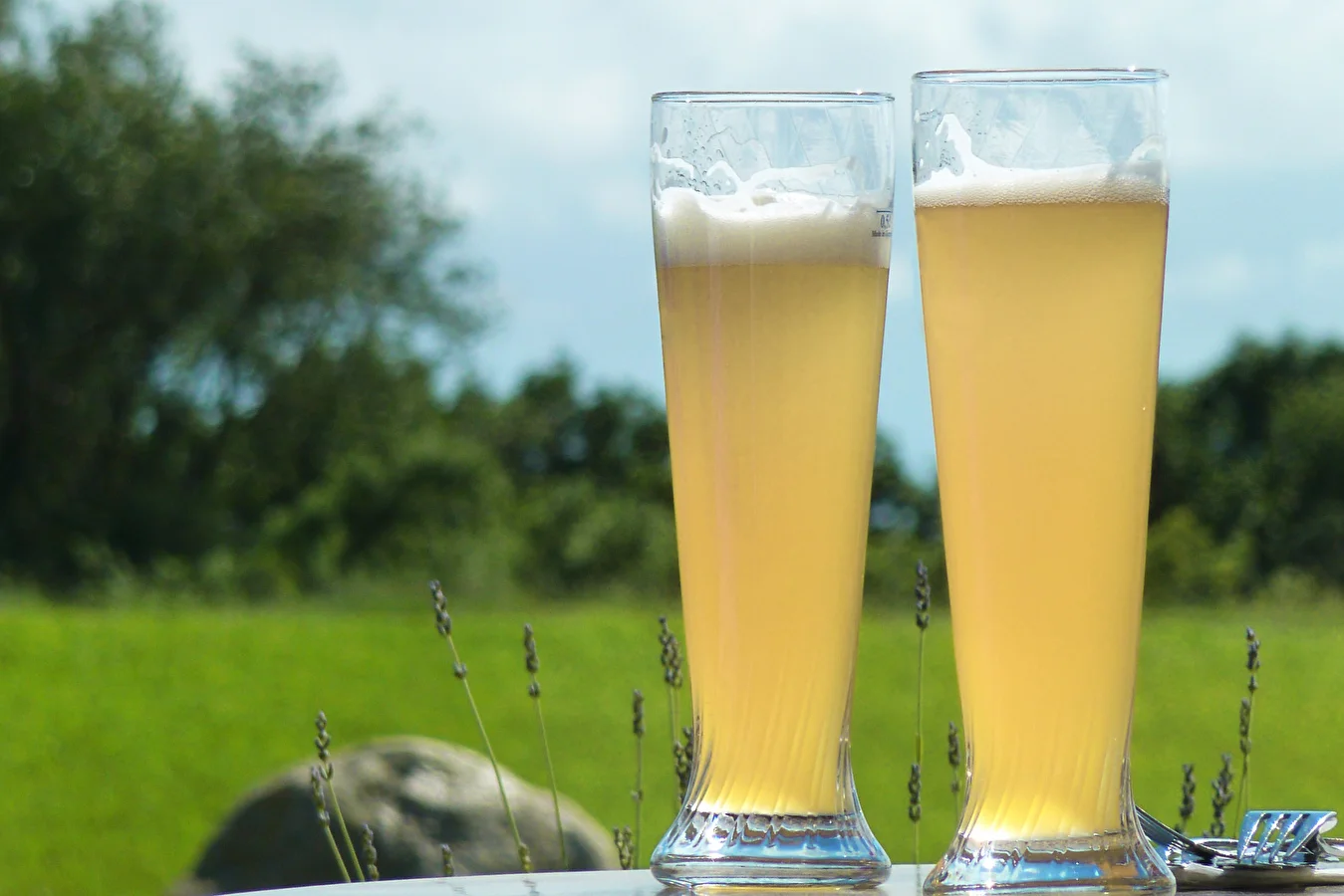 Kviešu alus „Baltais”