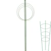 Gredzenveida augu balsts, 3 gredzeni, 1,2 m - 11 