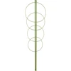Gredzenveida augu balsts 4 gredzeni 1 m - 13 