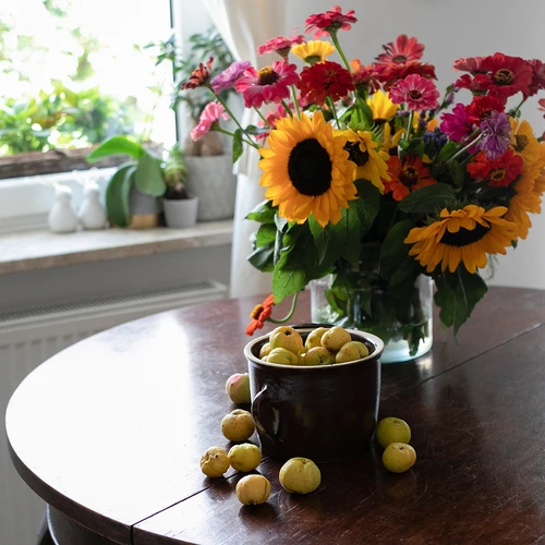 Akmens masas - 1,8l taisns pods ar vāku - 3