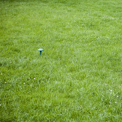 Ar saules bateriju darbināms kurmju atbaidītājs - 10