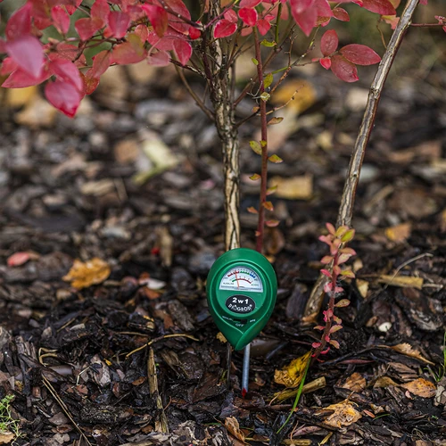 Augsnes testeris 2 vienā - pH, mitrums - 10