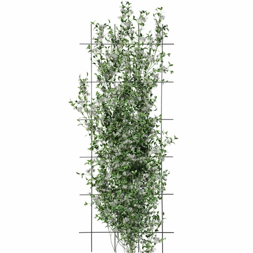 Augu balsts - režģis (150 cm x 60 cm) 3 gabali - 3