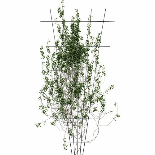 Augu balsts - sašaurināts dārza režģis 150 x 75cm - 3