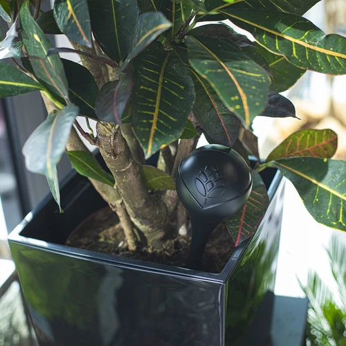 Augu laistīšanas bumba, melna, matēta ar keramikas spraudni (iepakojumā) 400 ml - 11