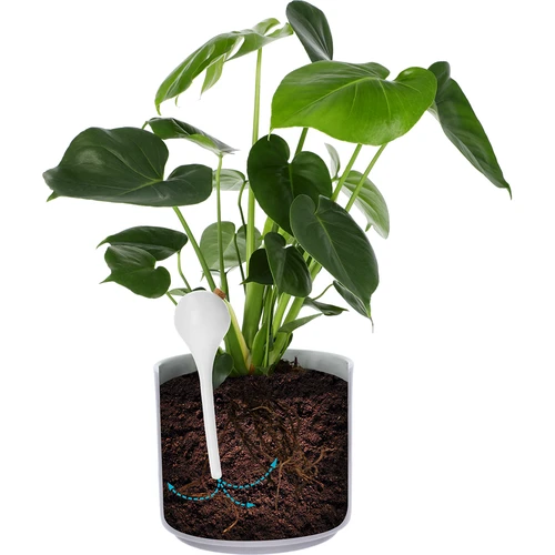 Augu laistīšanas bumbas, baltas pusskaidras ar korķa aizbāžņiem, 400 ml, 4 gab. - 6