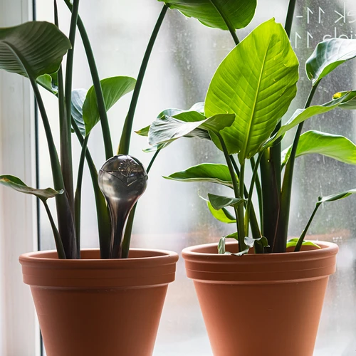 Augu laistīšanas bumbas, caurspīdīgi melnas, 400 ml, 4 gab. - 8