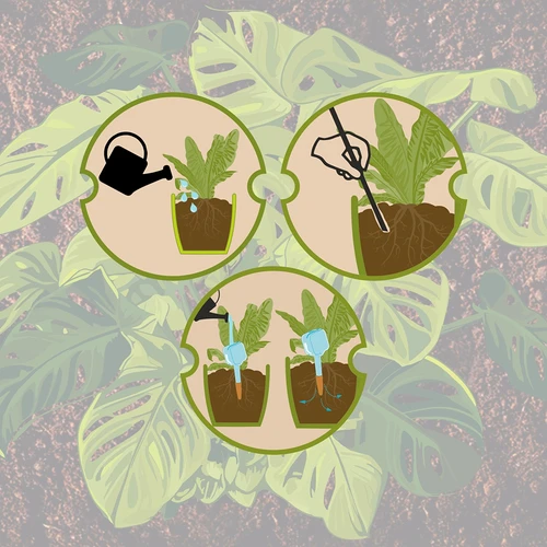 Augu laistītājs - balta plāksnīte ar keramikas kājiņu, 200 ml - 12