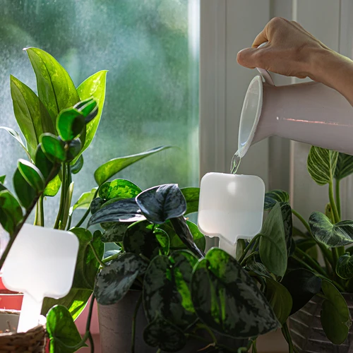 Augu laistītājs - balta plāksnīte ar keramikas kājiņu, 200 ml - 8