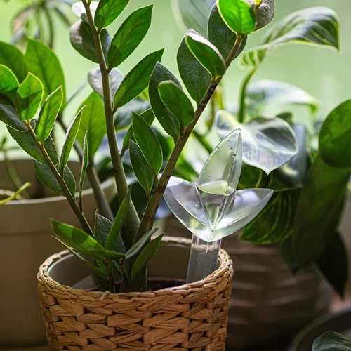 Augu laistītājs – caurspīdīga lapiņa, 120 ml - 7