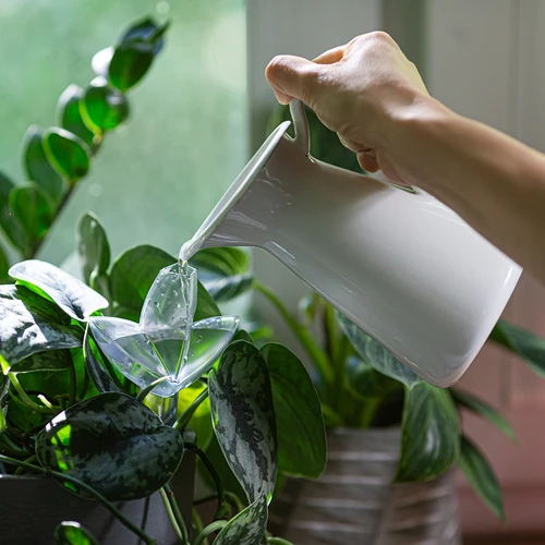 Augu laistītājs – caurspīdīga lapiņa ar keramikas kājiņu, 120 ml - 8