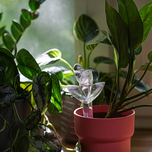 Augu laistītājs – caurspīdīga lapiņa ar keramikas kājiņu, 120 ml - 9