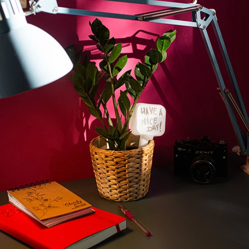 Augu pašlaistītājs – balta plāksnīte, 200 ml - 11