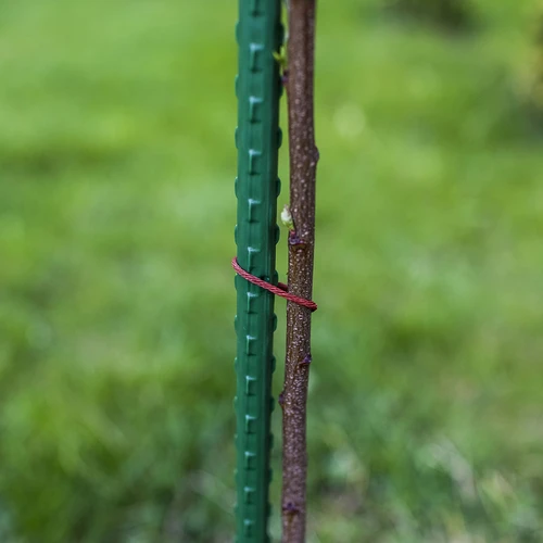 Bioogród dārza mietiņi – tērauda ar pārklājumu, 1,5 m, Ø 11 mm, 10 gab. - 5