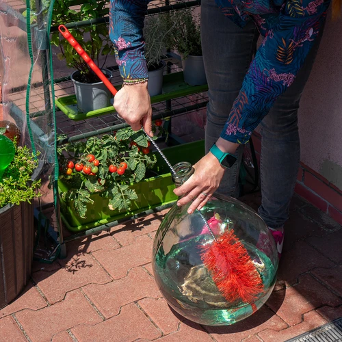 Birste demižonu mazgāšanai - maza - 3