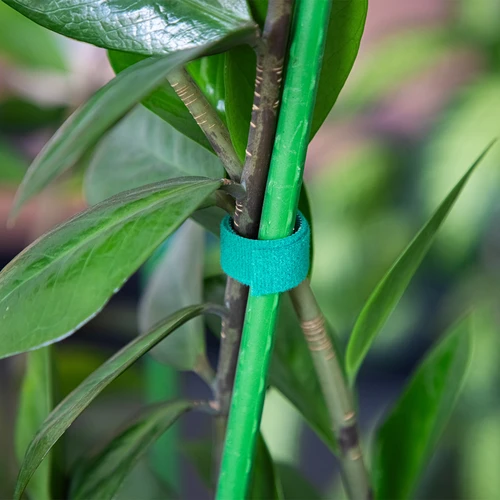 Dārza lente ar lipekļiem, zaļa, 15 mm x 5 m - 4