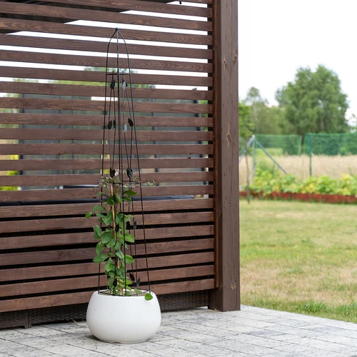 Dekoratīva pergola – Piramīda, 150 cm - 5