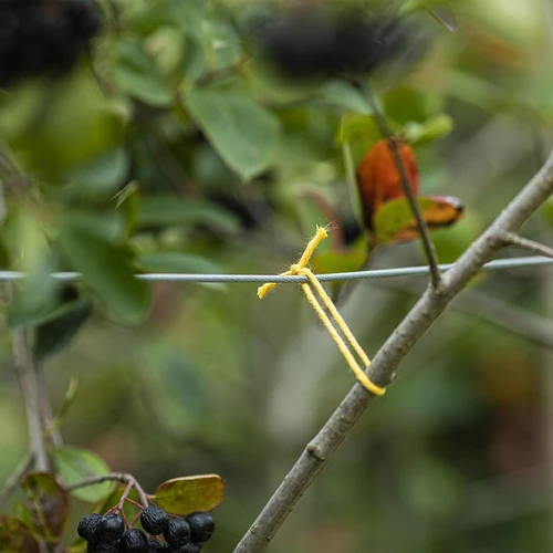 Dzeltena kokvilnas aukla 2 mm/55 m/100 g - 7