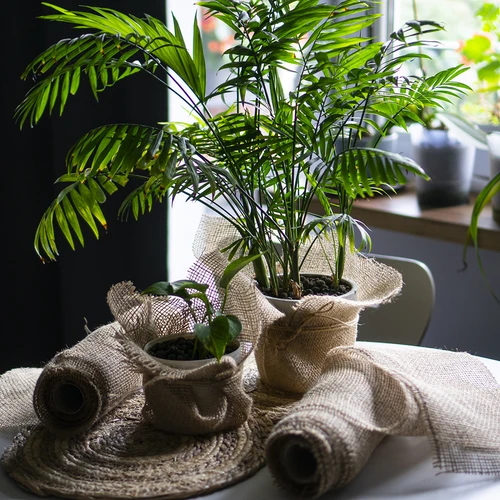 Džutas audums 20 cm / 5 m - 11