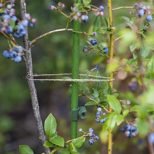 Džutas aukla 1,5 mm/100 m/100 g - 7