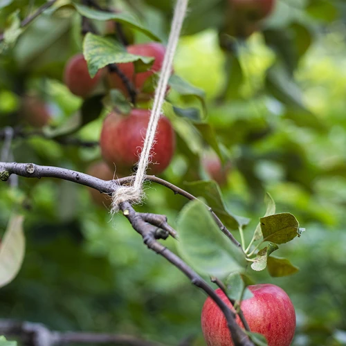 Džutas aukla 2 mm/110 m/250 g - 8