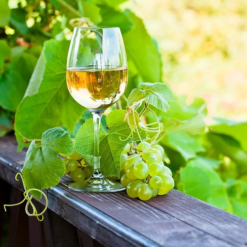 Enovini® OK WHITE - vīna raugs, kas samazina skābumu, 7 g - 10