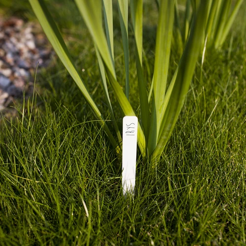 Etiķetes augu marķēšanai + zīmulis mix 10+20 gab. - 7