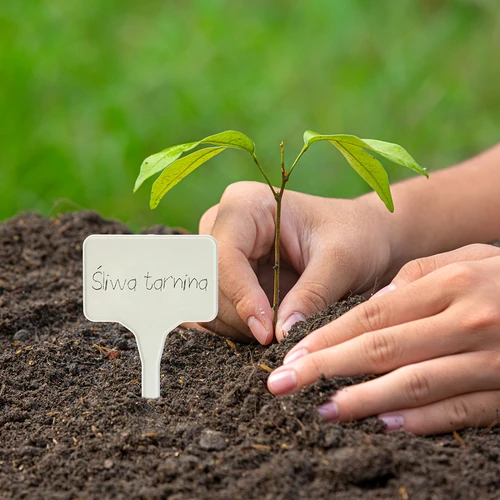 Etiķetes augu marķēšanai + zīmulis mix 10+20 gab. - 10