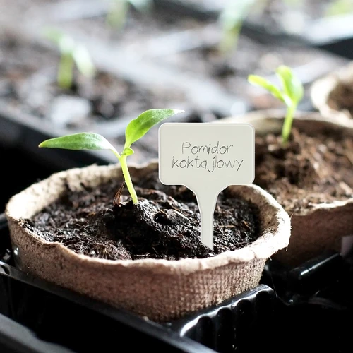 Etiķetes augu marķēšanai + zīmulis mix 10+20 gab. - 11