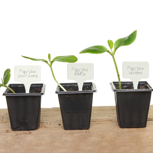 Etiķetes augu marķēšanai + zīmulis mix 10+20 gab. - 12