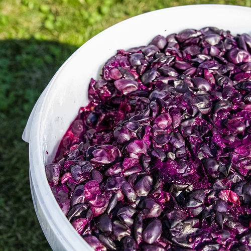 Fermentācijas trauks 30 L ar vāku - 12