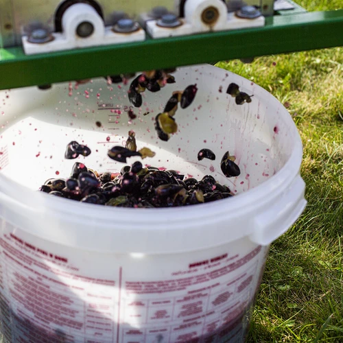 Fermentācijas trauks 30 L ar vāku un krānu - 16