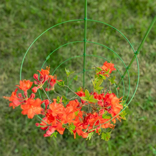 Gredzenveida augu balsts 3 gredzeni 0,5 m - 5