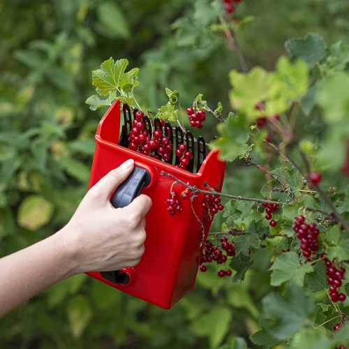 Ierīce sīkaugļu lasīšanai - 8